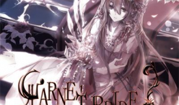 女吸血鬼漫画,女吸血鬼的暗夜传奇